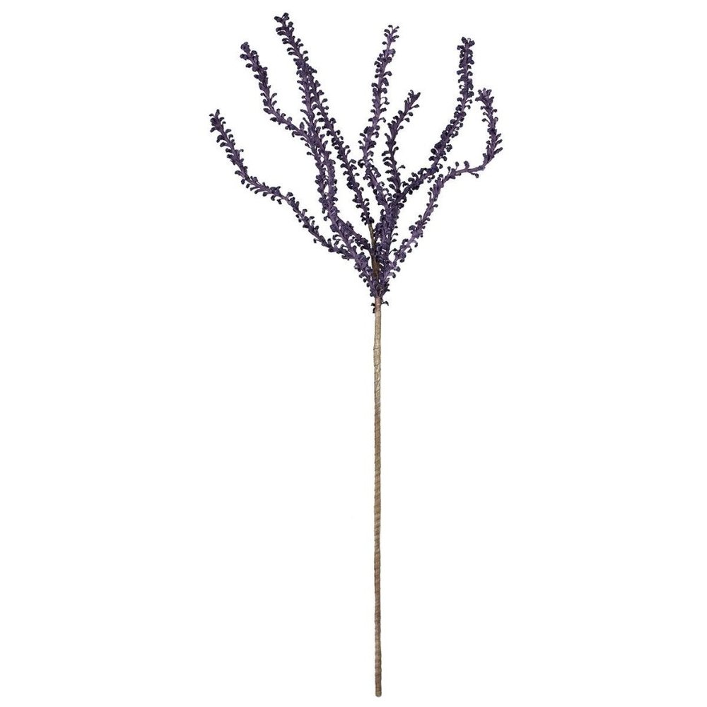 Botanica #640